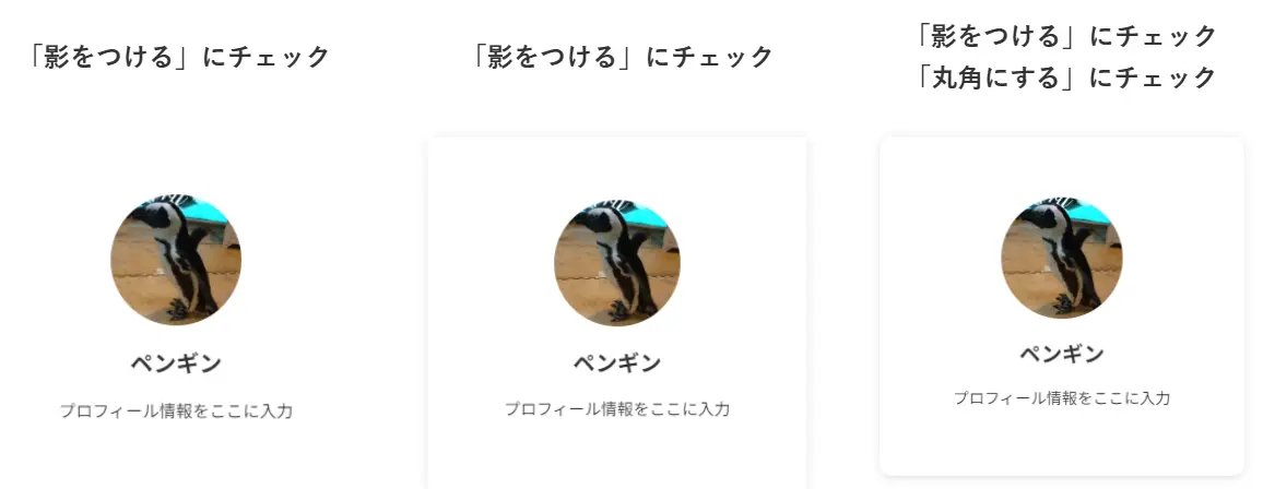 プロフィールカードの実際の表示