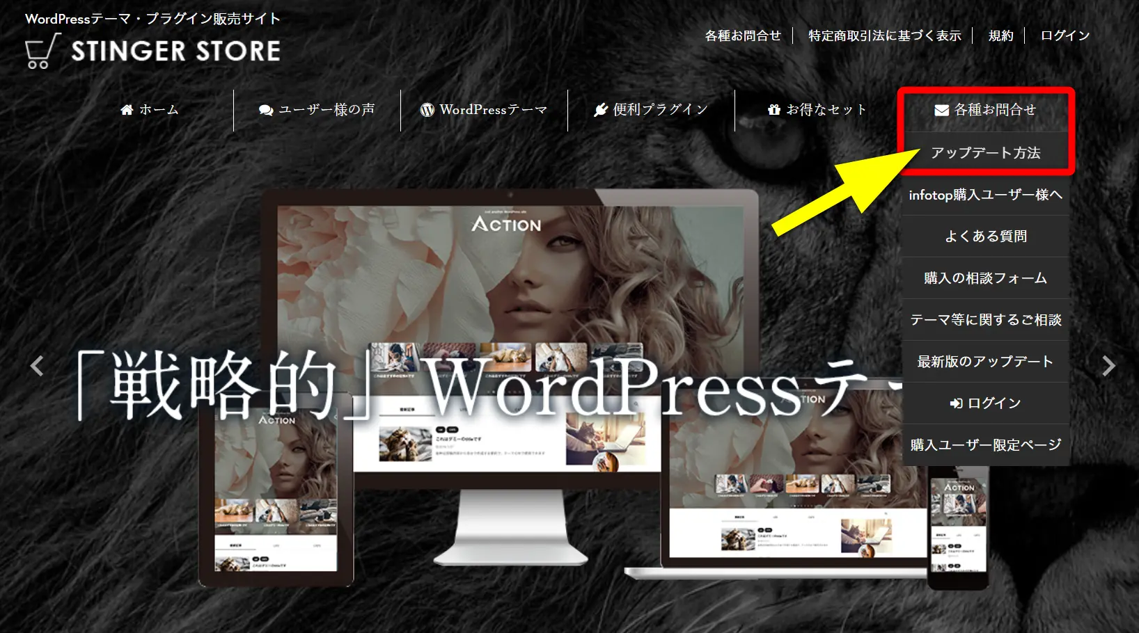 アフィンガー6の公式サイト